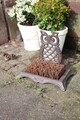 Cipőkefe, Esschert, Bagoly, 15,6 x 25,1 x 19,5 cm, kovácsoltvas / fa / kókuszrost