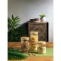 Tartály fedővel Jungle Small, Tognana Porcelán, 1030 ml, üveg, átlátszó