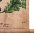 Hazelnut Leaf Fali dekoráció, Creaciones Meng, lenvászon/kínai fenyőfa, 44x73 cm