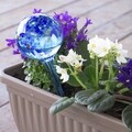 InnovaGoods Gömbcsöpögtetők növények öntözéséhez Aqua·Loon, 350 ml, üveg