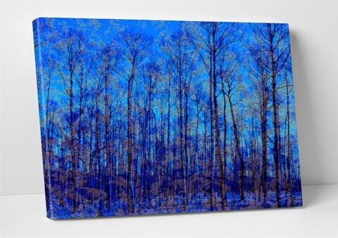 Mark Díszkép, Modacanvas, 50x70 cm, kanavász, színes